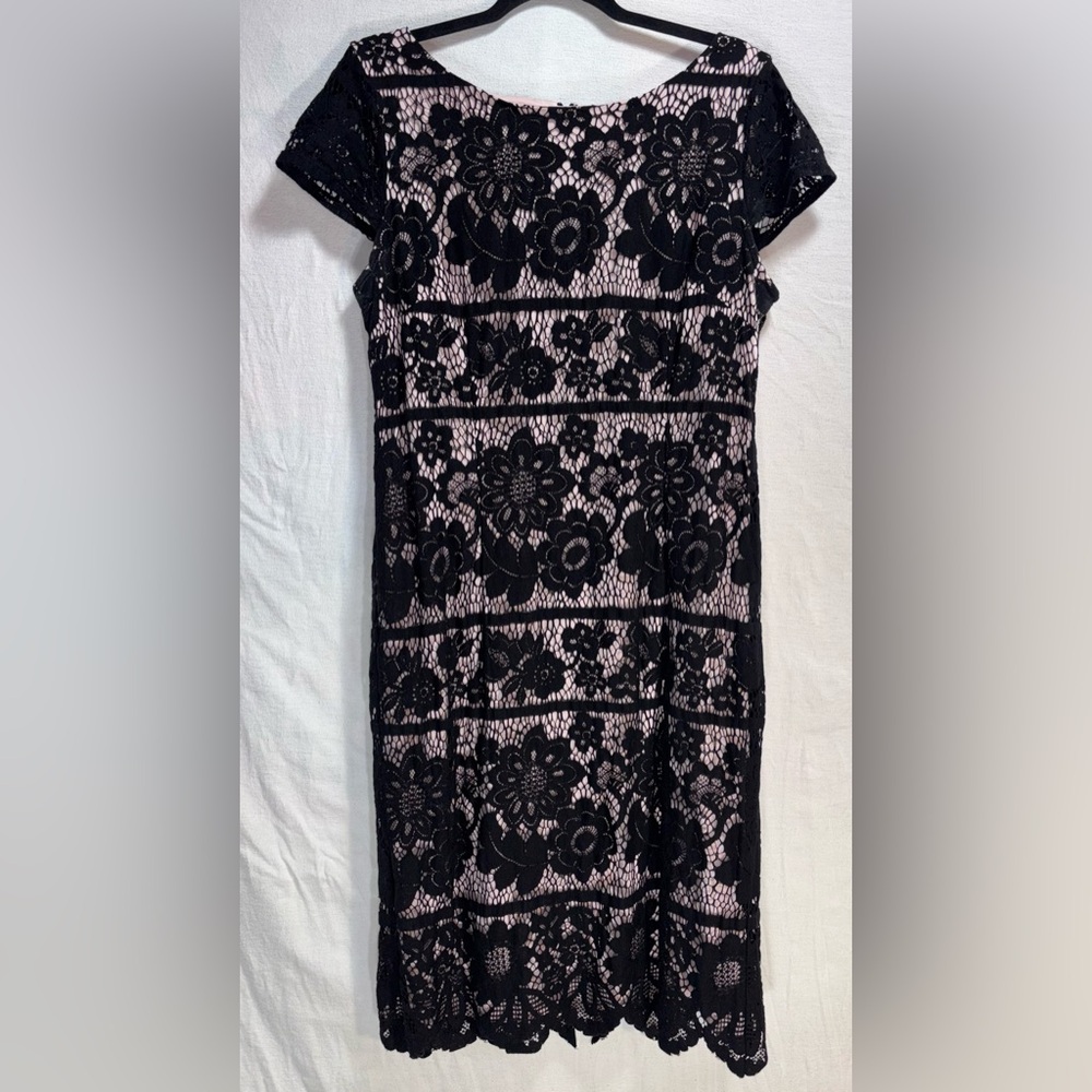 Eliza J Cap sleeve Lace Sheath dress size 14